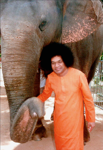 Beloved Bhagawan Sri Sathya Sai Baba